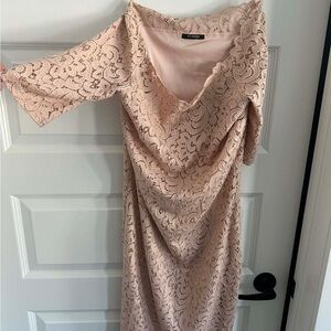 Elegant Long Sleeve Lace Dress - Blush